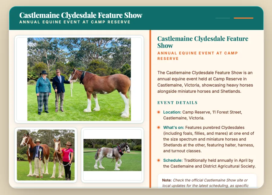 2025 Castlemaine Clydesdale Feature Show